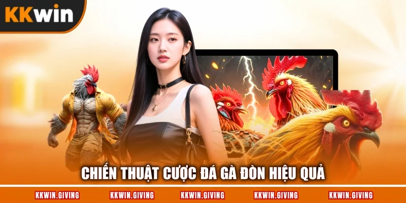 Chiến thuật cược đá gà đòn hiệu quả