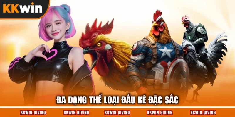 Đa dạng thể loại đấu kê đặc sắc