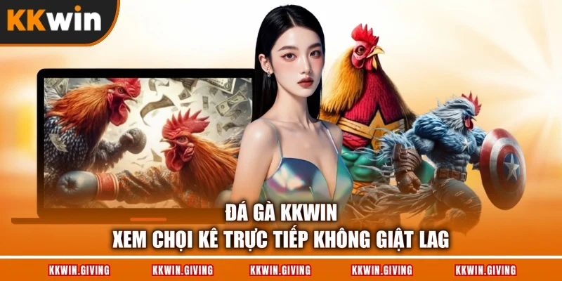 Đá Gà KKWIN - Xem Chọi Kê Trực Tiếp Không Giật Lag
