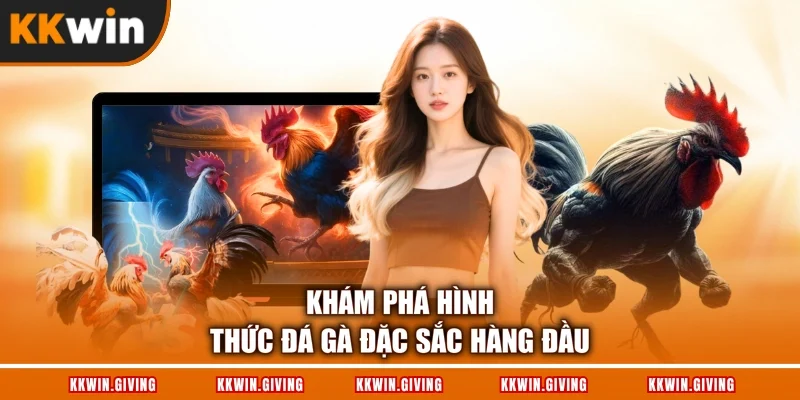 Khám phá hình thức đá gà đặc sắc hàng đầu