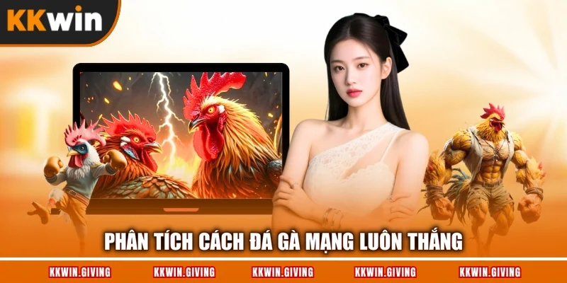 Phân tích cách đá gà mạng luôn thắng