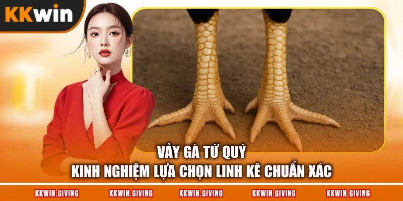 Vảy Gà Tứ Quý - Kinh Nghiệm Lựa Chọn Linh Kê Chuẩn Xác